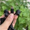 کالای دیجیتال - موبایل - لوازم جانبی گوشی موبایل