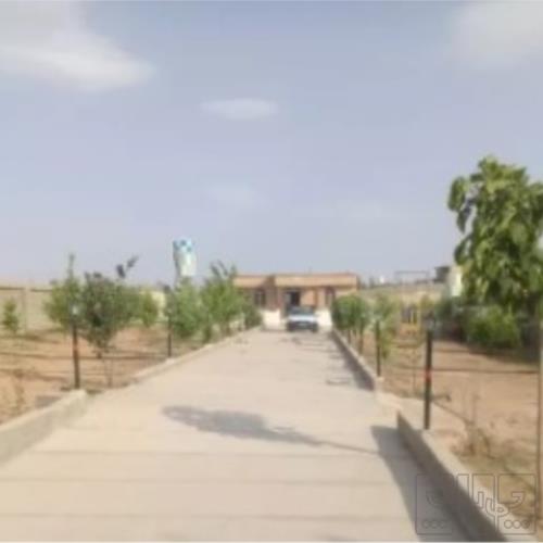 باغ و باغچه