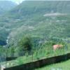 خانه کلنگی