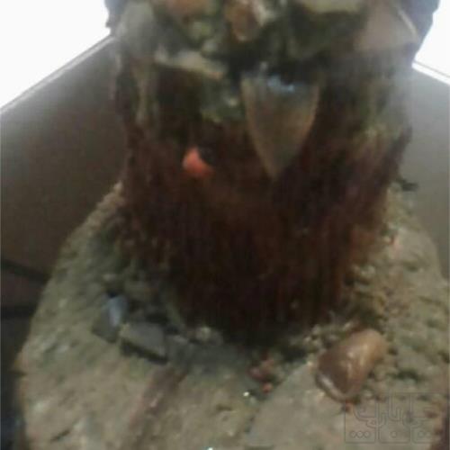 خانه و  آشپزخانه - دکوراتیو - چراغ تزئینی و رشته ای