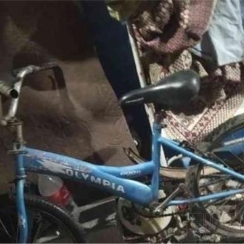 ورزش و سفر - دوچرخه و لوازم جانبی - دوچرخه