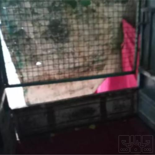 وسایل نقلیه - موتورسیکلت