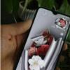 کالای دیجیتال - موبایل