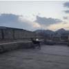 خانه و  آشپزخانه - حیوانات - پستانداران