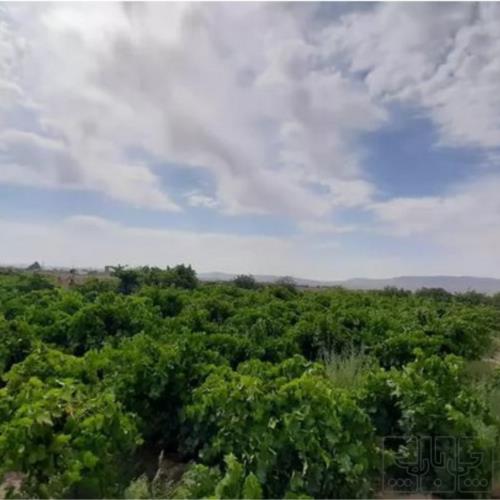 باغ و باغچه