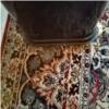 خانه و  آشپزخانه - فرش - فرش ماشینی