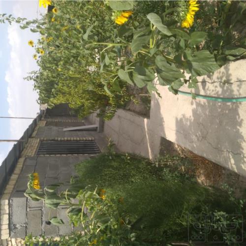 باغ و باغچه - اجاره