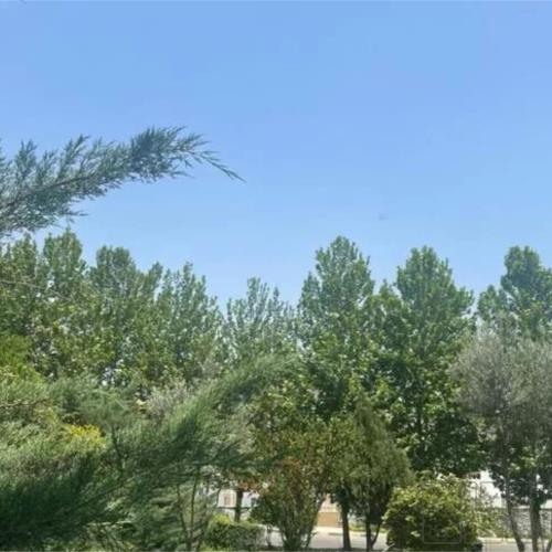 آپارتمان