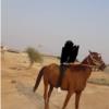 خانه و  آشپزخانه - حیوانات - پستانداران