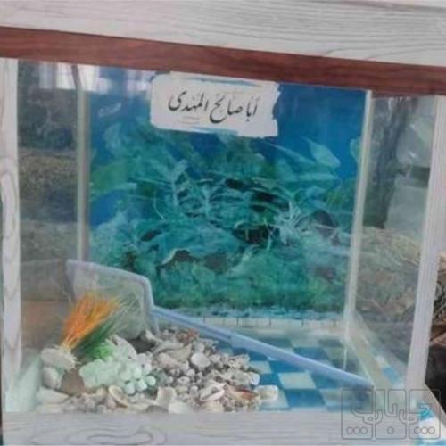 خانه و  آشپزخانه - حیوانات - تجهیزات آبزیان