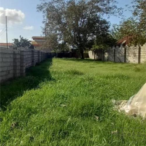 زمین مسکونی - انتقال مالکیت قطعی