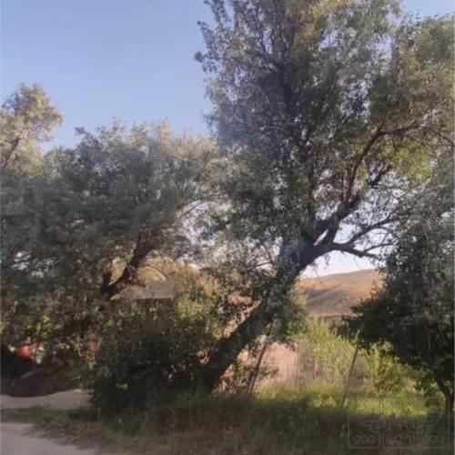 زمین زراعی