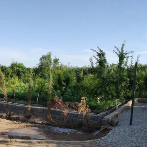 زمین زراعی