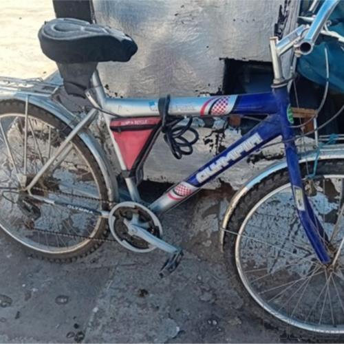 ورزش و سفر - دوچرخه و لوازم جانبی - دوچرخه