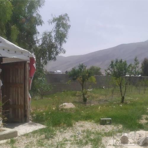 باغ و باغچه - انتقال مالکیت قطعی - مشاع