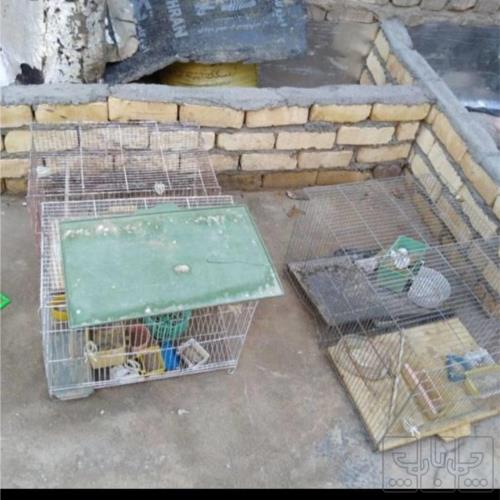 خانه و  آشپزخانه - حیوانات - لوازم حیوانات خانگی