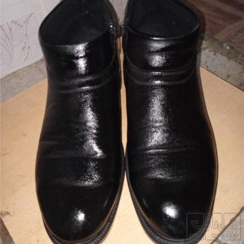 مد و پوشاک - مردانه - کفش مردانه