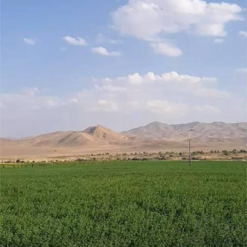 زمین زراعی - انتقال مالکیت قطعی - ملکی