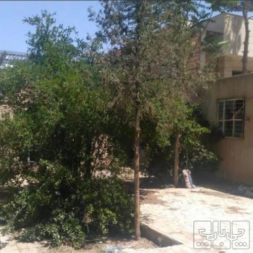 خانه کلنگی - انتقال مالکیت قطعی