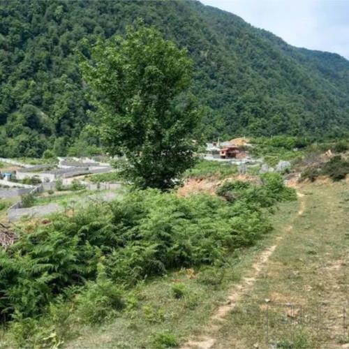 زمین مسکونی - انتقال مالکیت قطعی - ملکی