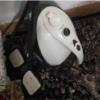 خانه و  آشپزخانه - ابزار برقی - بخارشوی صنعتی