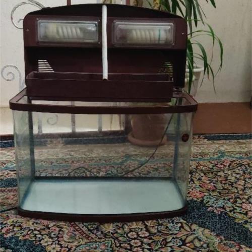 خانه و  آشپزخانه - دکوراتیو - مجسمه و تندیس