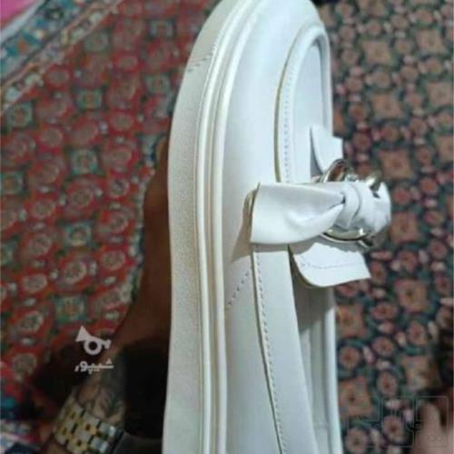 مد و پوشاک - زنانه - کفش زنانه