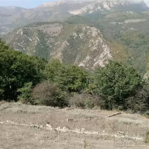 باغ و باغچه - انتقال مالکیت قطعی - ملکی