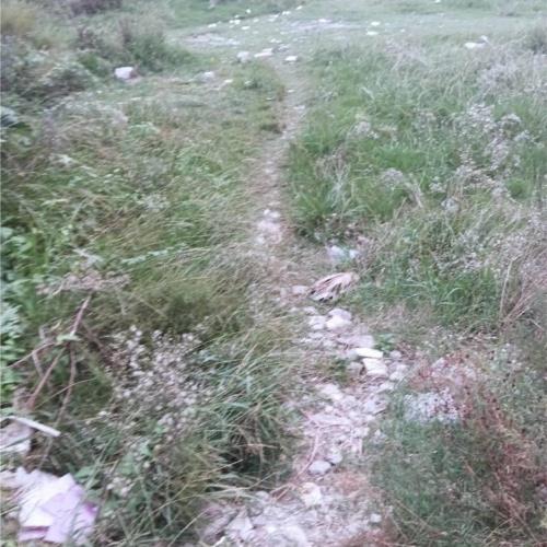 زمین مسکونی - انتقال مالکیت قطعی - قولنامه ای