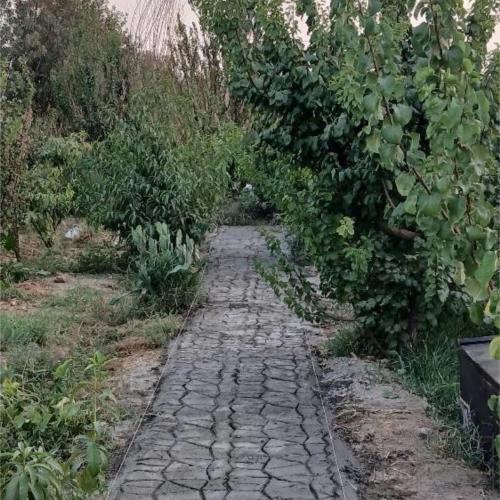 باغ و باغچه - انتقال مالکیت قطعی - قولنامه ای