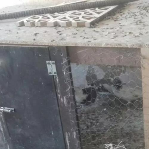 خانه و  آشپزخانه - حیوانات - پرندگان