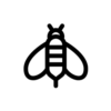 حشرات