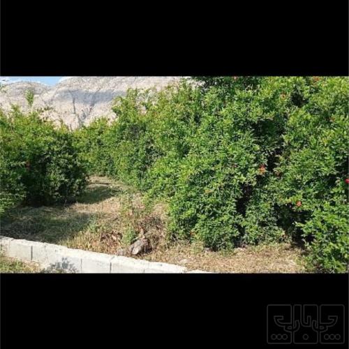 خانه ویلایی - انتقال مالکیت قطعی - ملکی