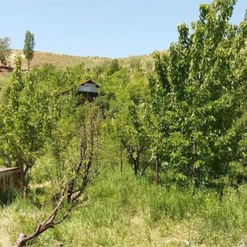 زمین مسکونی