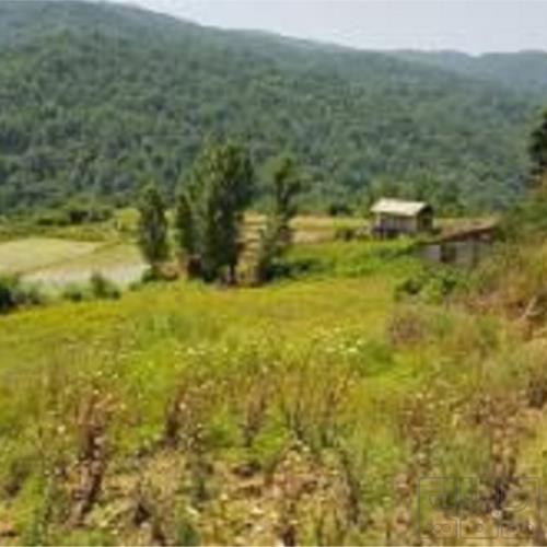 زمین مسکونی - انتقال مالکیت قطعی