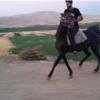 خانه و  آشپزخانه - حیوانات - پستانداران