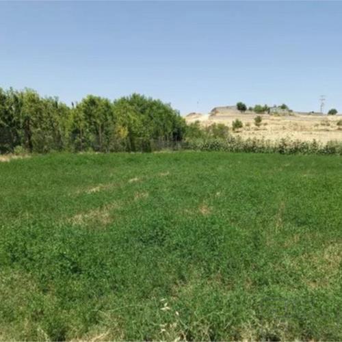 زمین زراعی